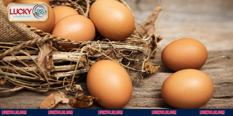 Cân nhắc con số may mắn để có cơ hội đổi đời khi mơ thấy trứng