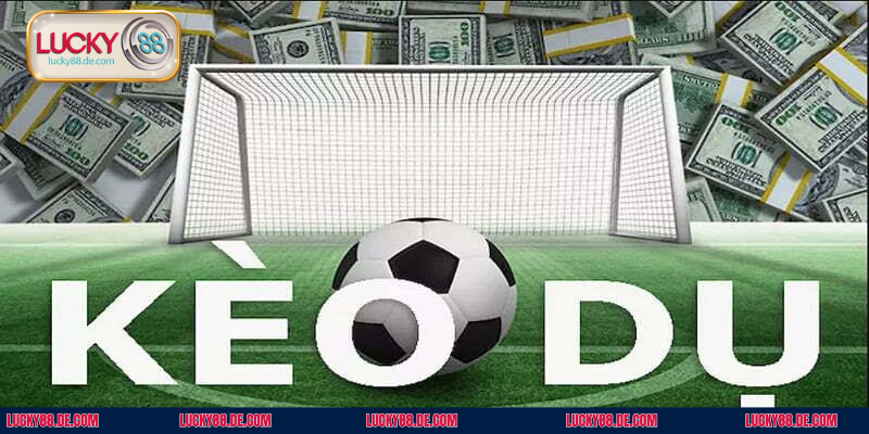 Điểm qua top dấu hiệu thường thấy tân binh nên xem kỹ