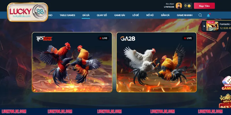 Ưu điểm nổi bật của sảnh đá gà LUCKY88